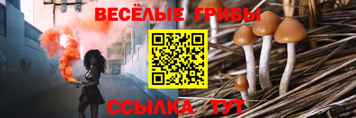 Галлюциногенные грибы Magic Shrooms Новодвинск