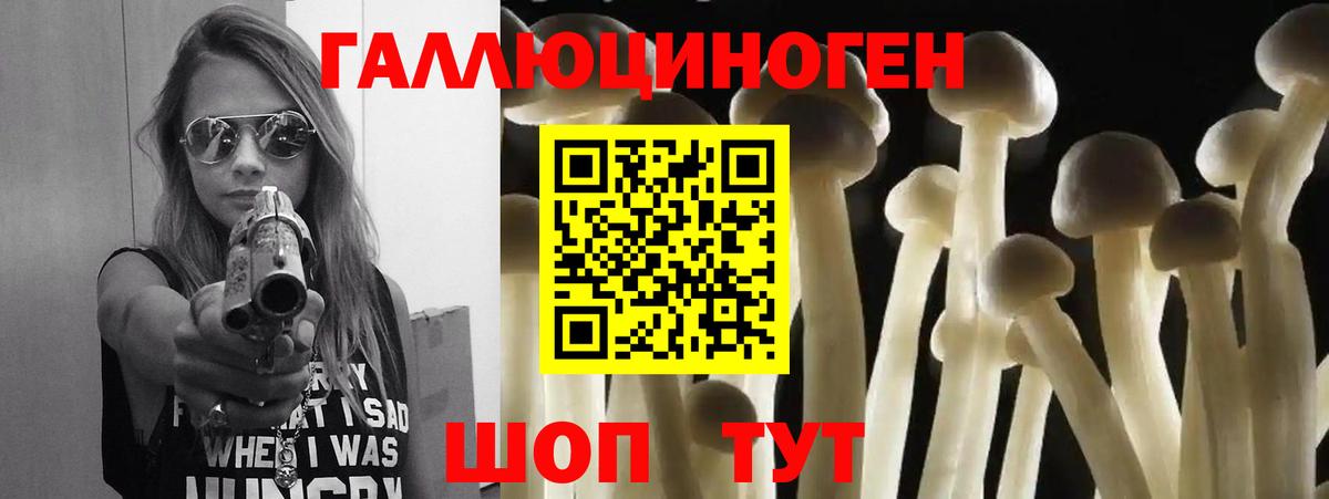Новодвинск  Псилоцибиновые грибы прущие грибы  Вход с VPN  магазин продажи наркотиков  Псилоцибиновые грибы мицелий 
